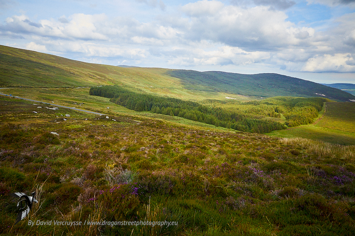 Wicklow Hills, Ireland