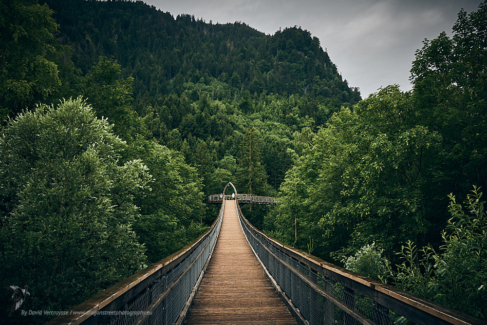 Bavaria-Suspended bridges