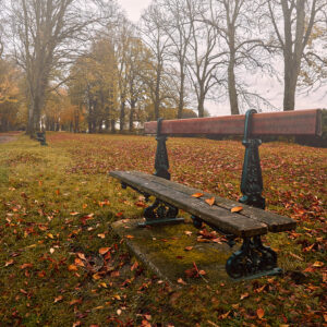 Photographier l'automne, Provins, France