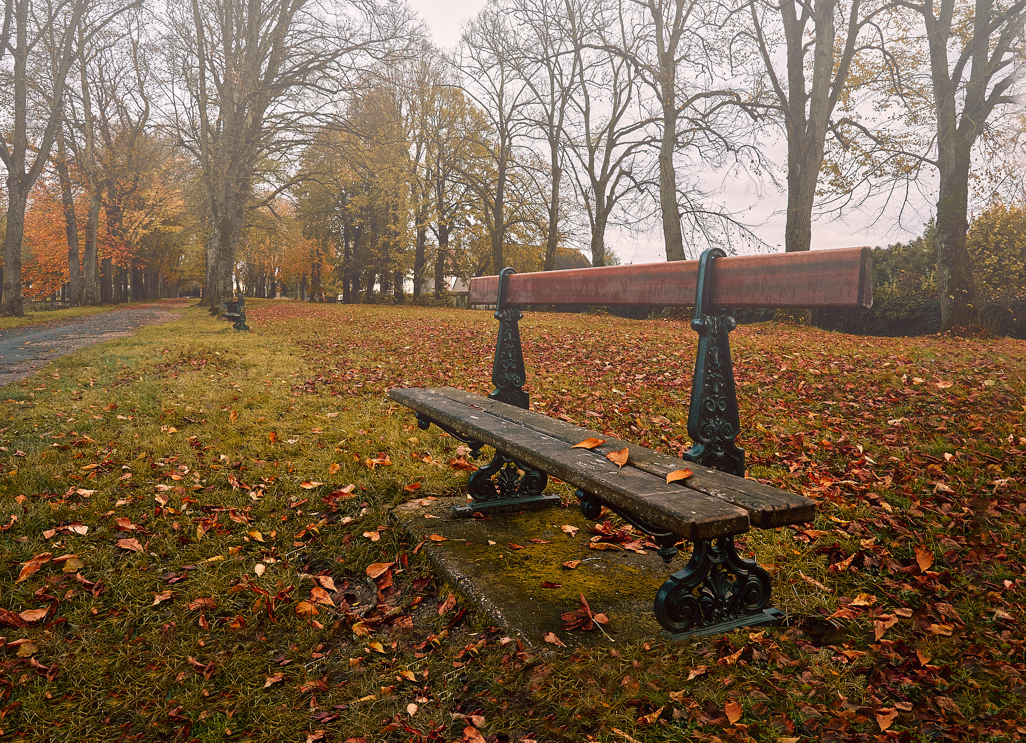 Photographier l'automne, Provins, France